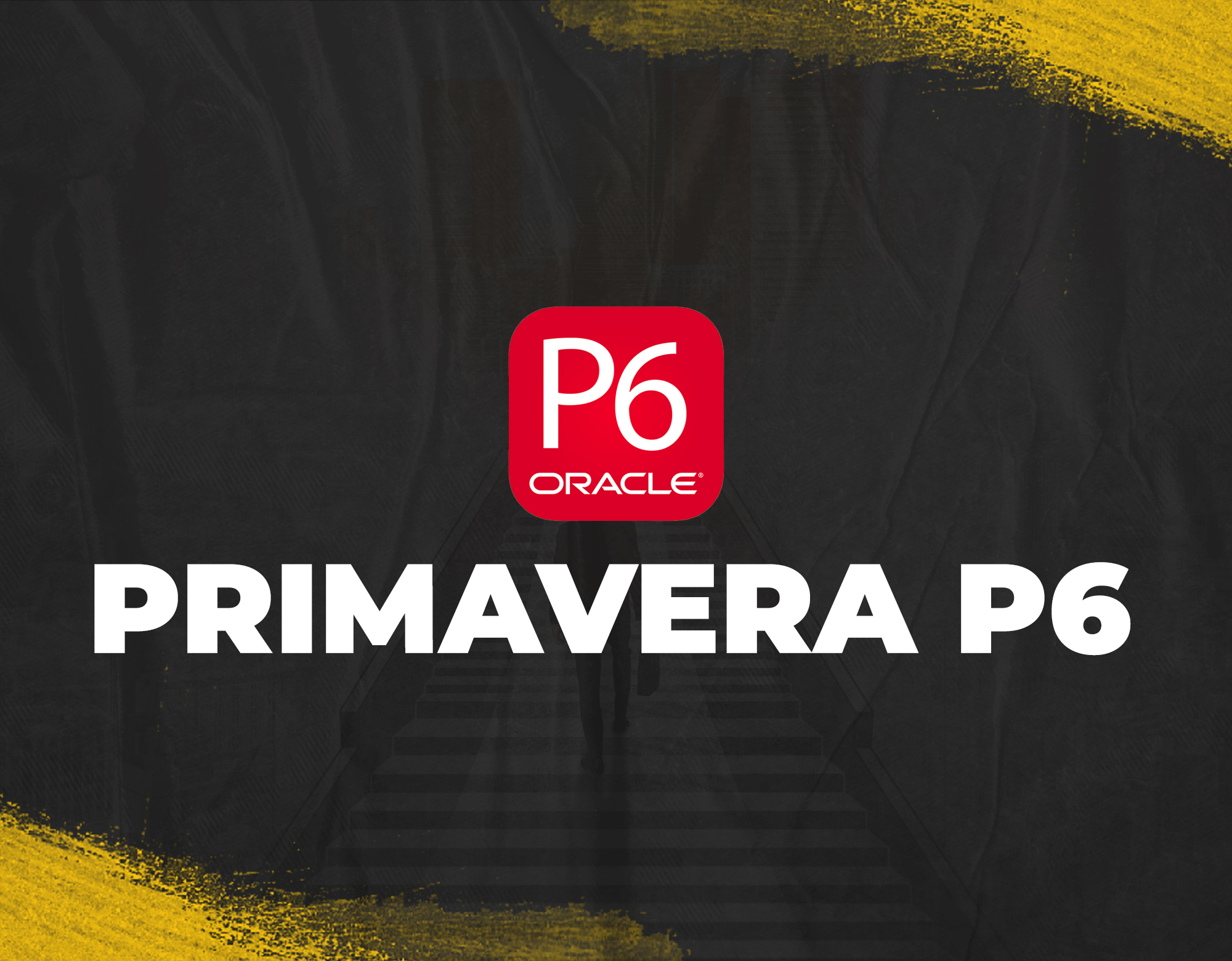 PRIMAVERA P6 From Zero To Hero  